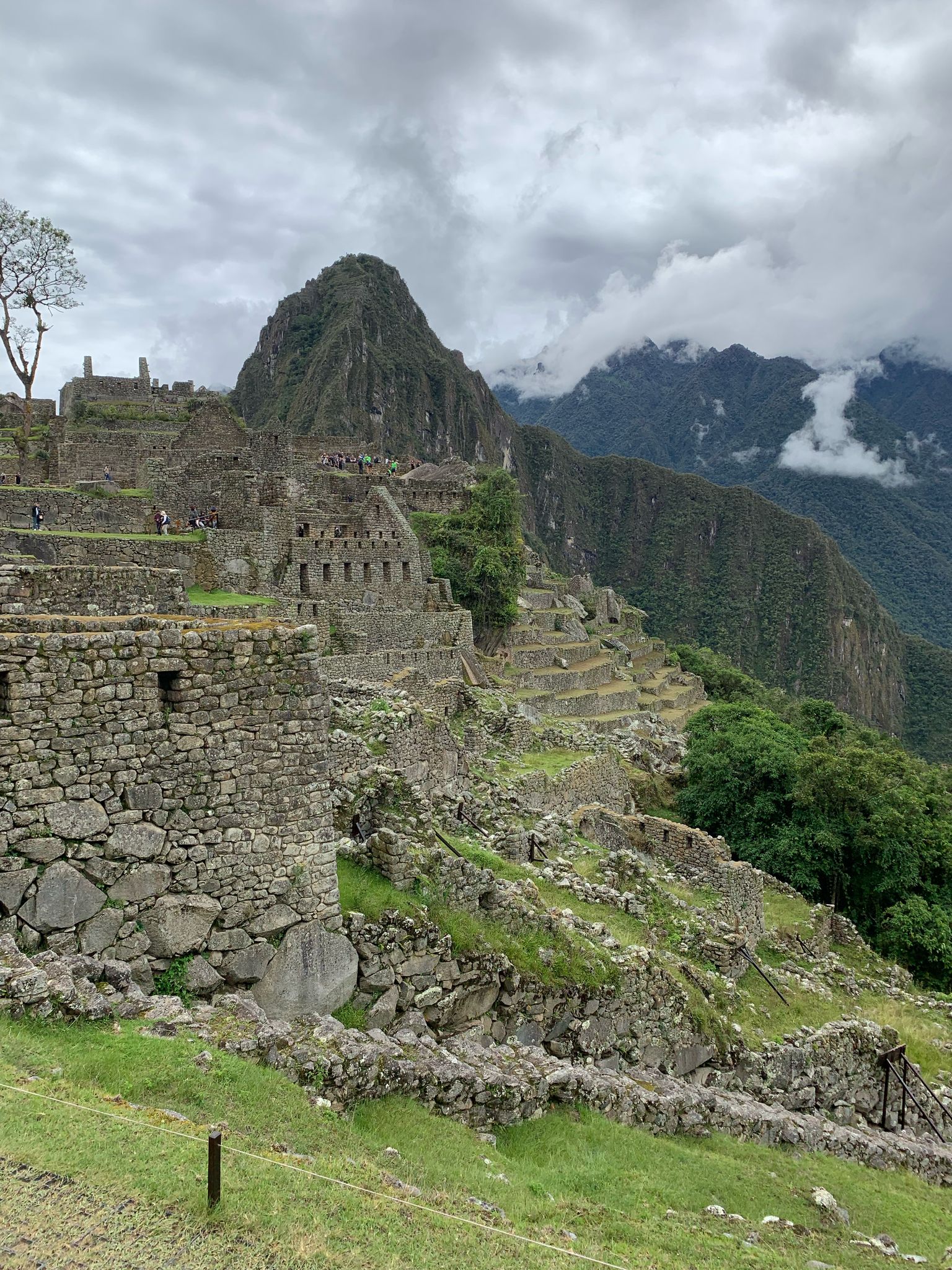 Healing journey photo 3