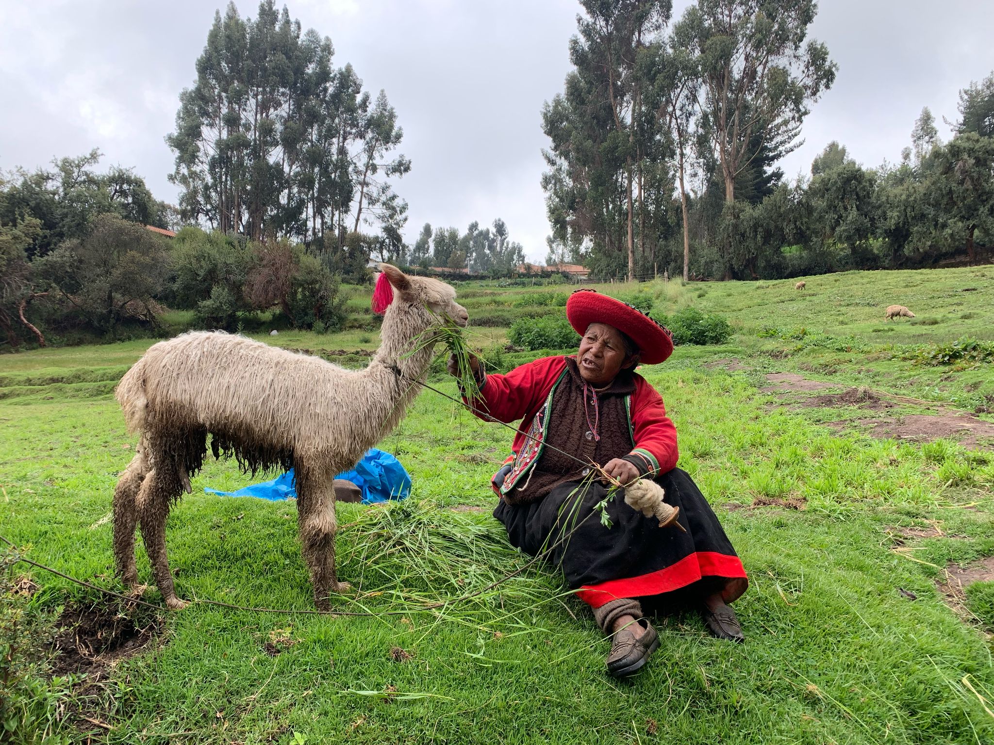 Healing journey photo 8